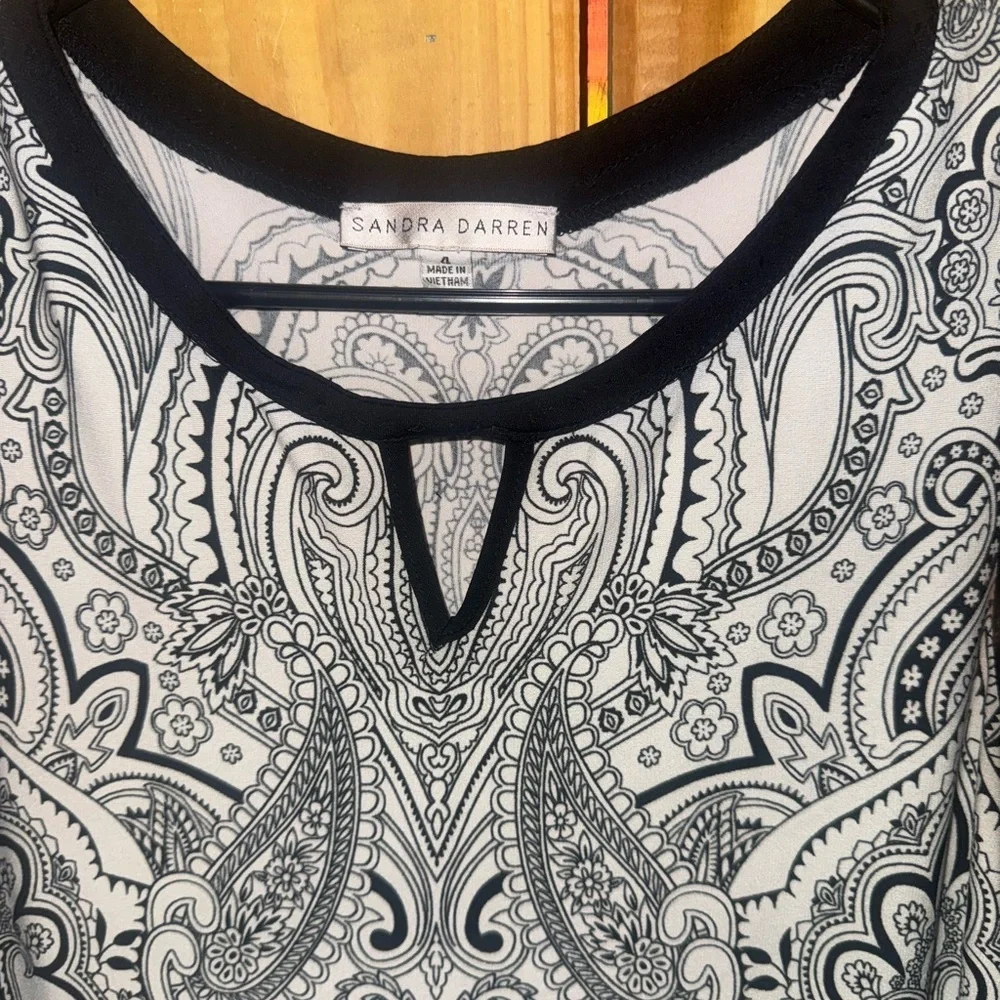 Sandra Darren Multicolor Paisley Dress - Picture 3 of 5